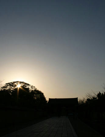 IMG_4996.jpg