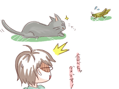 アマゾン超逃げてェェ！