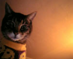 070215_193756_M.jpg