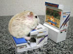 a070513hamster.jpg
