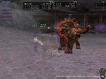 2011051001.jpg