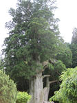 IMG_5660.JPG