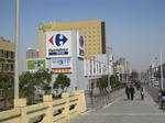 113.jpg