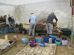 IMG_9700_ks.jpg