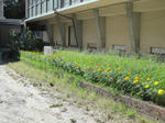 IMG_9740_ks.jpg
