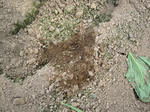 IMG_9885_ks.jpg