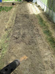 IMG_9960_ks.jpg