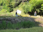 IMG_0186_ks.jpg