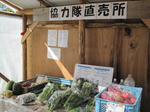 IMG_0222_ks.jpg