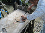 IMG_0270_ks.jpg