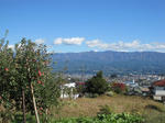 IMG_0542_ks.jpg