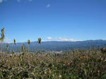 IMG_0543_ks.jpg