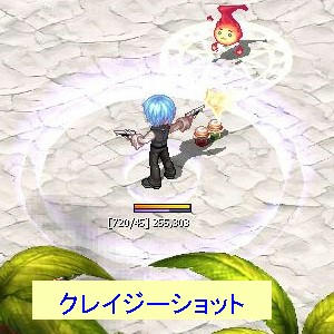 ランジェ版連・物理型単体メインかな？