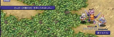 竹藪の河童水　味見してみる？(・∀・)ﾆﾔﾘ