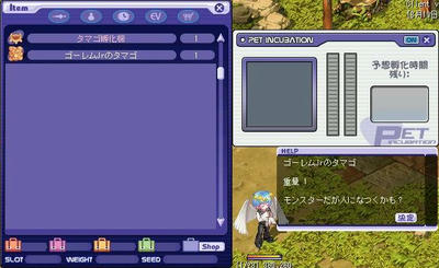 孵化器セットｗ