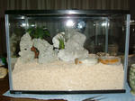 DSCF2186.JPG