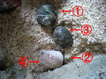 d6478e81.JPG