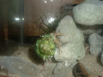 DSCF2202.JPG