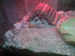513cd670jpeg