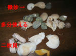 IMG_0963.JPG