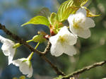 IMG_2851.JPG
