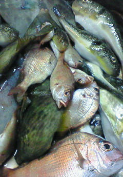 2008.10.15.jpg