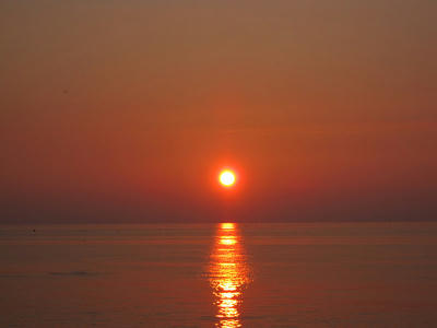 resize0161.jpg