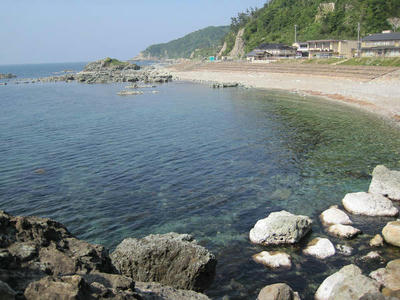 resize0210.jpg