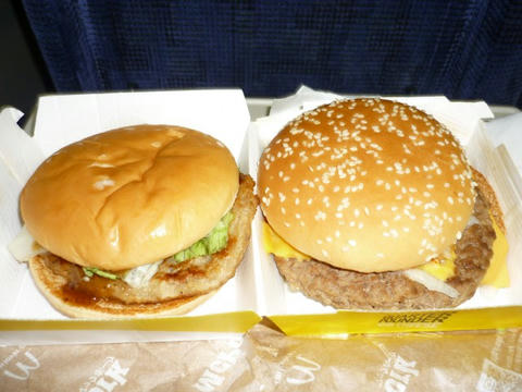 P1000235.jpg