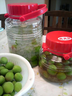 photo2.jpg
