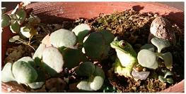 image003.jpg