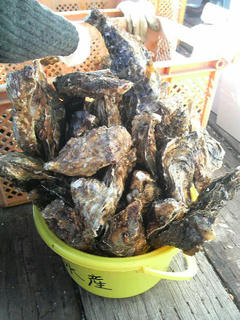 2010011411140000.jpg