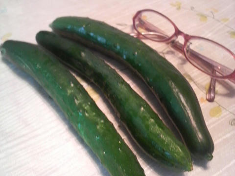 2010061706530000.jpg