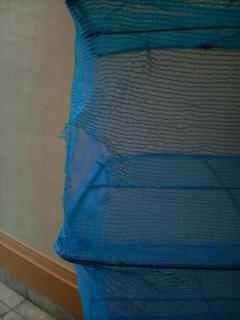 2010102612360000.jpg