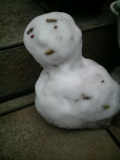 2011011907050000.jpg