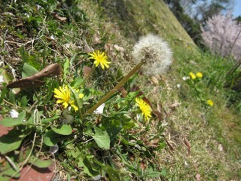 img003.jpg