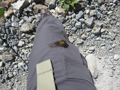 IMG_6400.jpg