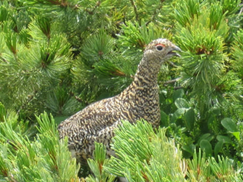 IMG_6408.jpg