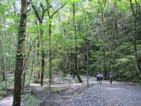 c5257001.jpg