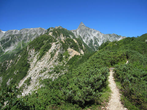 b45208f5.jpg