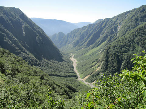 8206704c.jpg