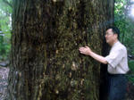 BigWoodSC08731.jpg