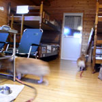 resort-oshima3.jpg
