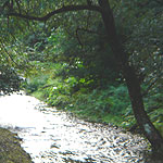 keihoku2009-1.jpg