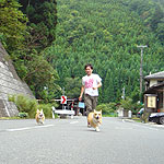 keihoku2009-2.jpg