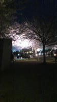 DSCF0740.JPG