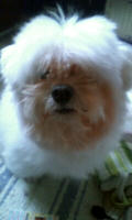 090304_0858_0001.jpg