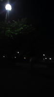110524_1955_01.jpg