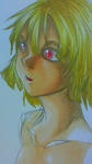 NEC_0070.JPG