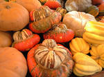 4pumpkin.jpg